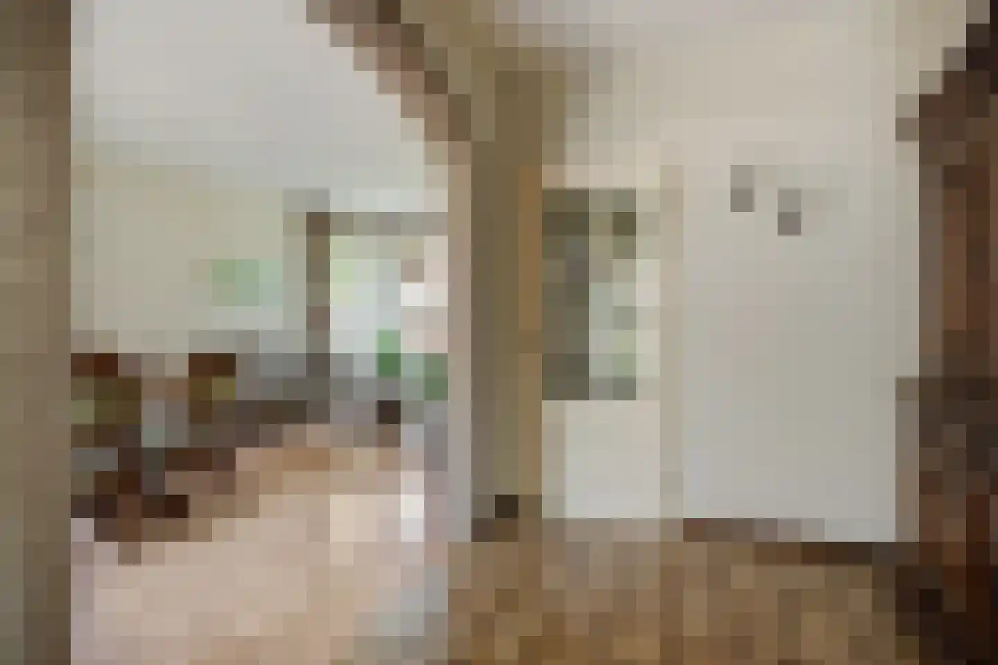 Hazelaar 88 Liessel thumbnail 16