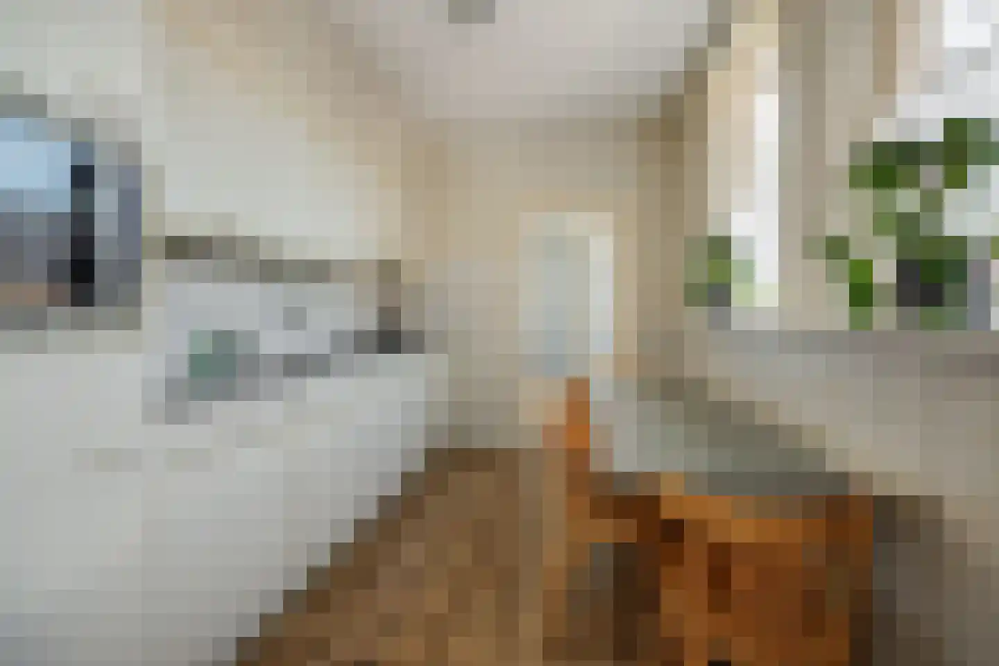 Hazelaar 88 Liessel thumbnail 18