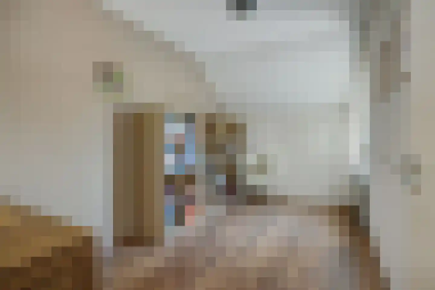 Hazelaar 88 Liessel thumbnail 21