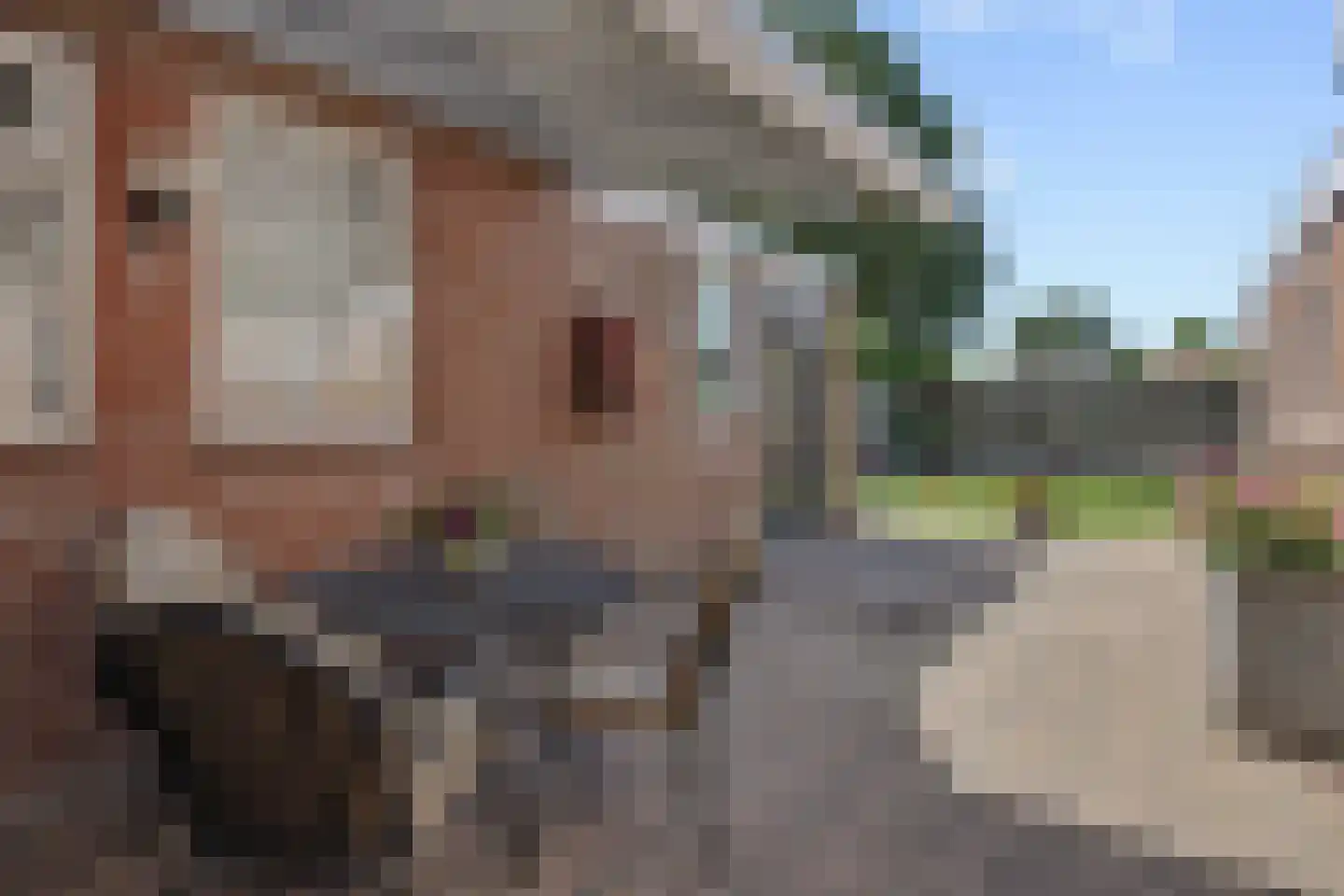 Hazelaar 88 Liessel thumbnail 34