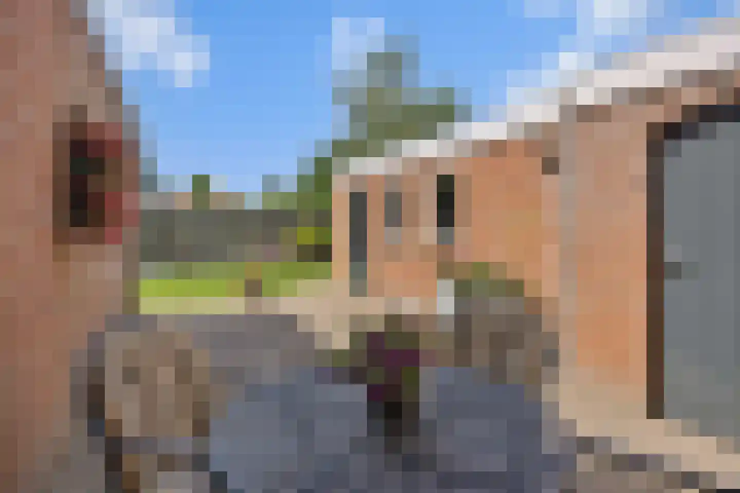 Hazelaar 88 Liessel thumbnail 35