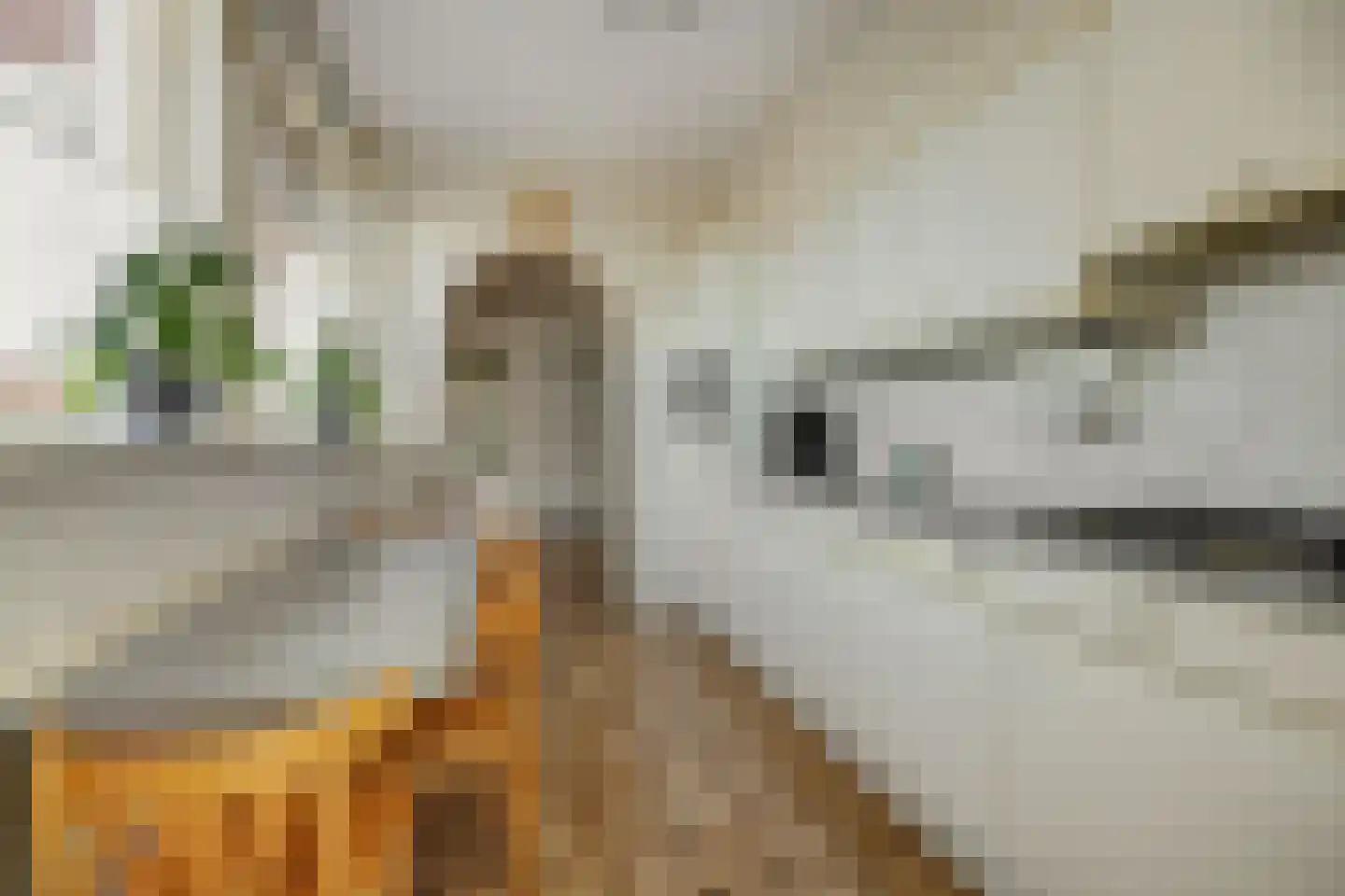Hazelaar 88 Liessel thumbnail 4