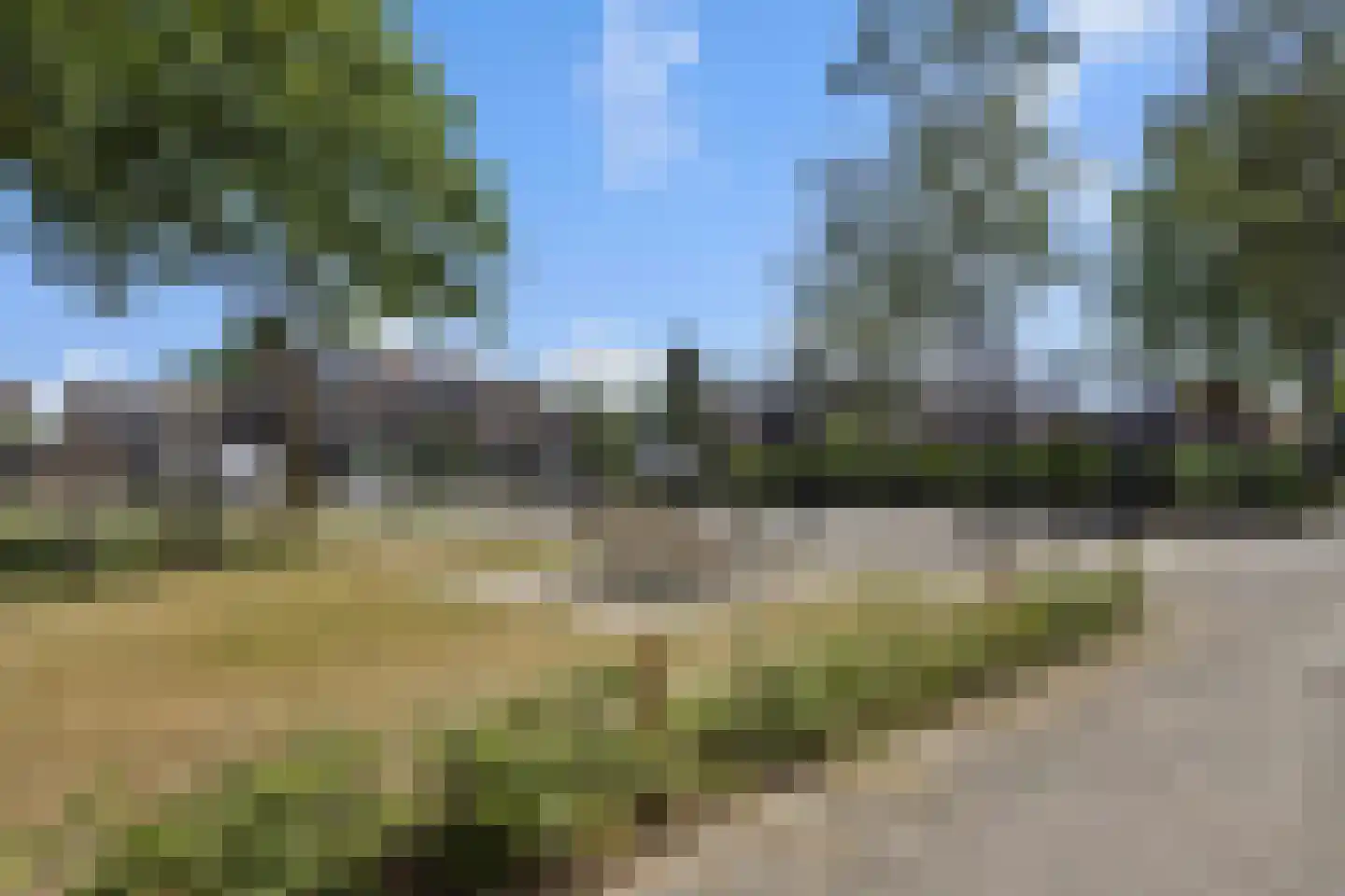 Hazelaar 88 Liessel thumbnail 43