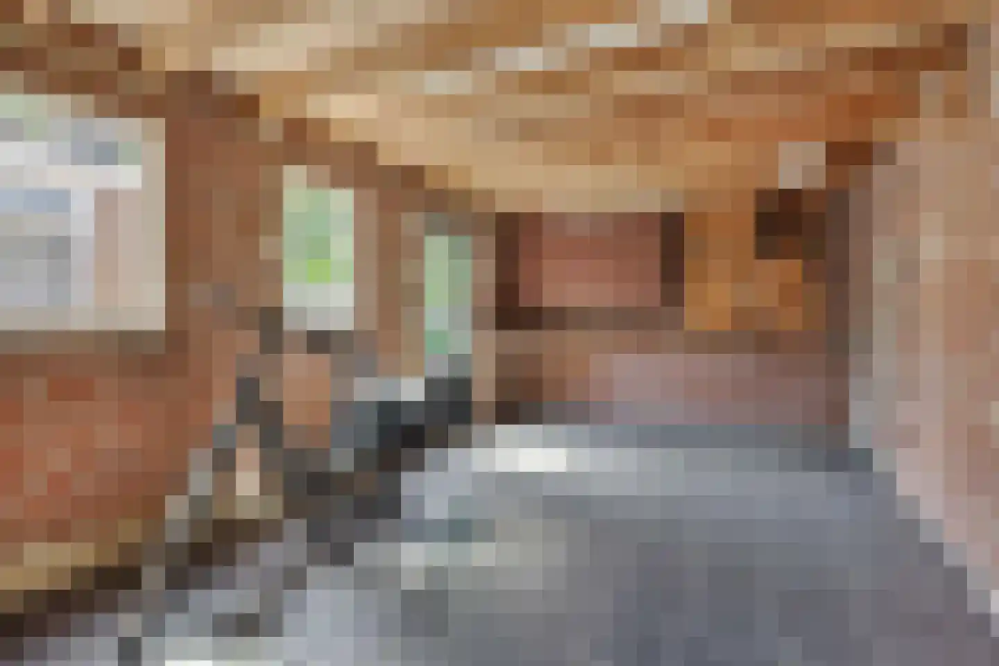 Hazelaar 88 Liessel thumbnail 45