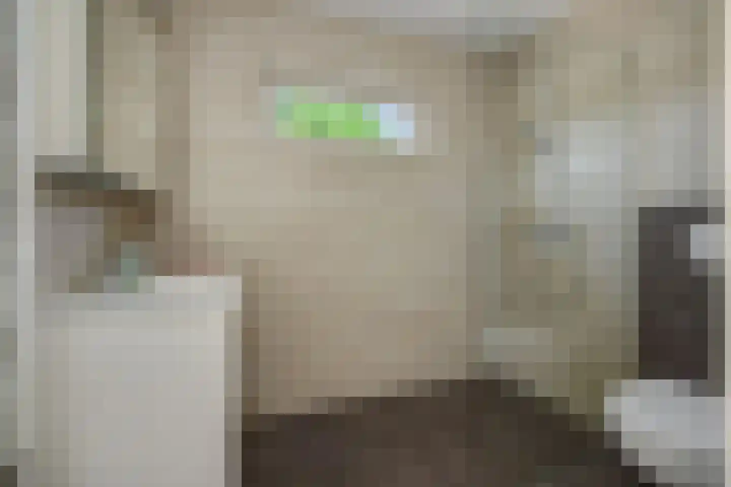 Hazelaar 88 Liessel thumbnail 5
