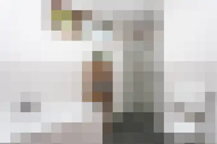 Hazelaar 9 Brunssum thumbnail 13