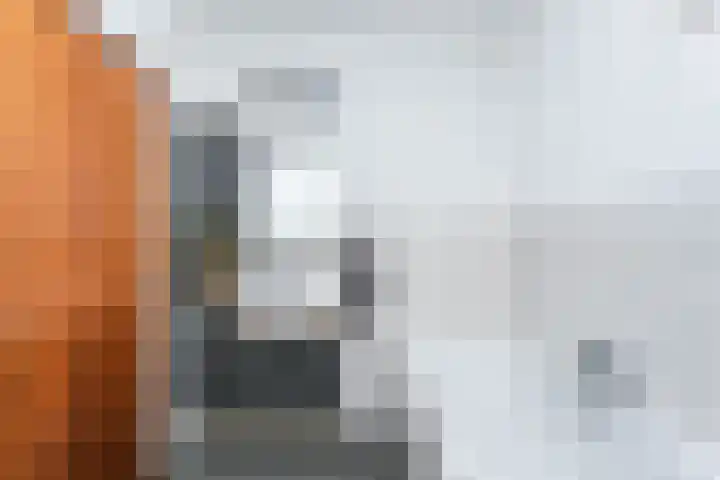 Hazelaar 9 Brunssum thumbnail 14