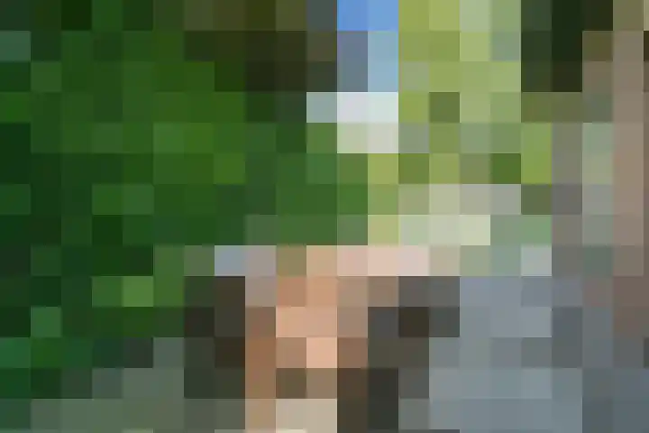 Hazelaar 9 Brunssum thumbnail 28