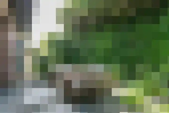 Hazelaar 9 Brunssum thumbnail 29