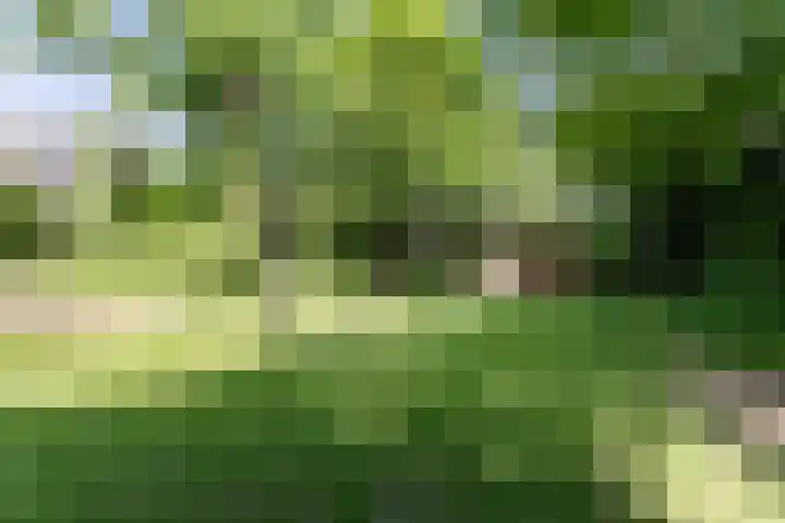 Hazelaar 9 Brunssum thumbnail 30