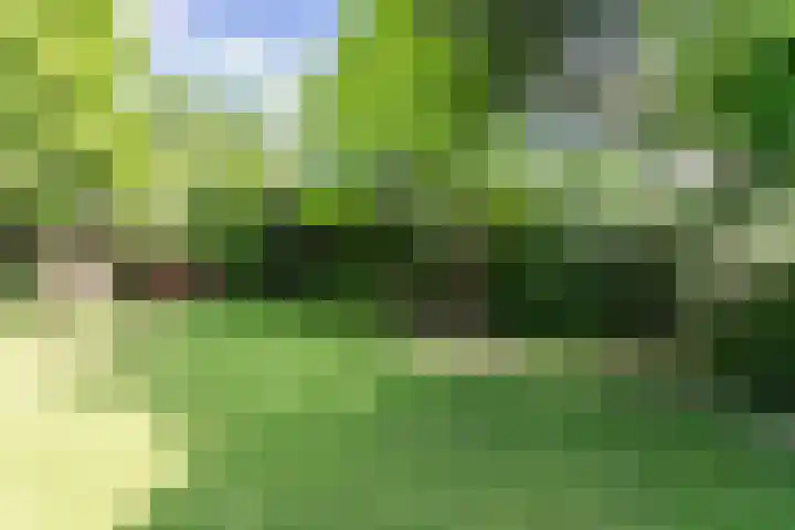 Hazelaar 9 Brunssum thumbnail 31
