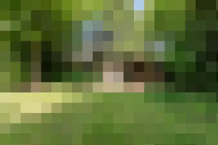 Hazelaar 9 Brunssum thumbnail 32