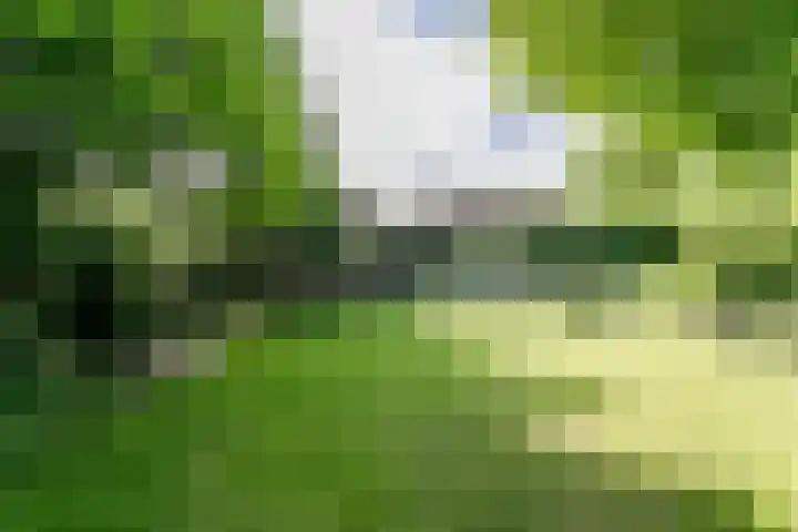 Hazelaar 9 Brunssum thumbnail 33