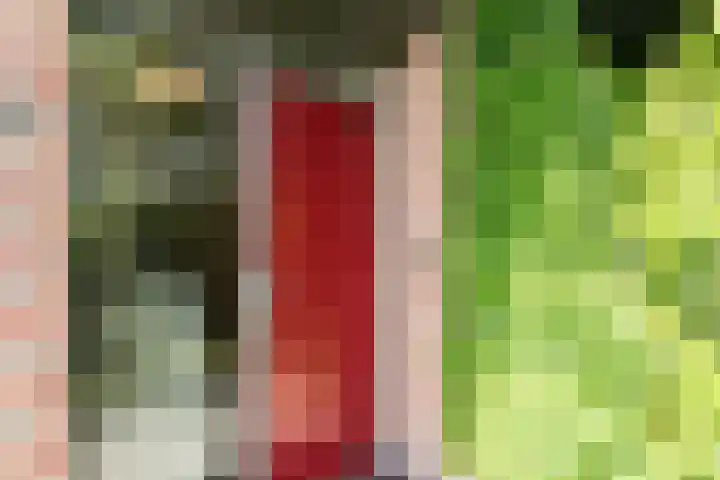 Hazelaar 9 Brunssum thumbnail 34