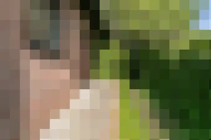 Hazelaar 9 Brunssum thumbnail 35