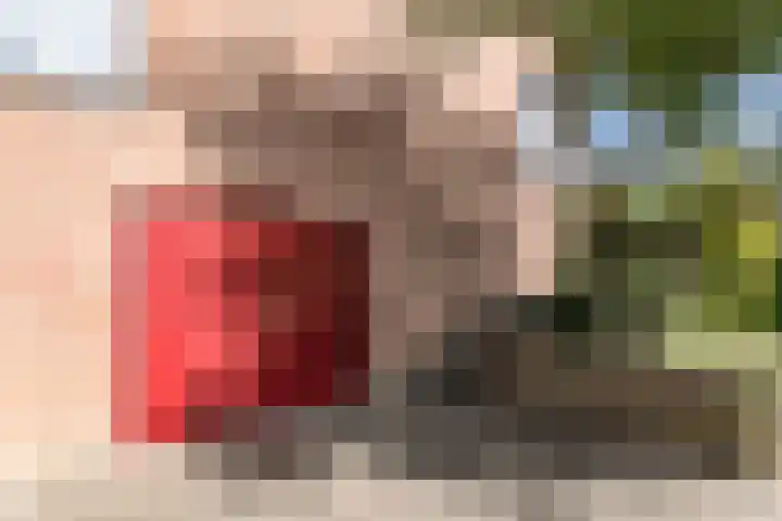 Hazelaar 9 Brunssum thumbnail 36