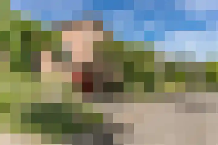 Hazelaar 9 Brunssum thumbnail 37