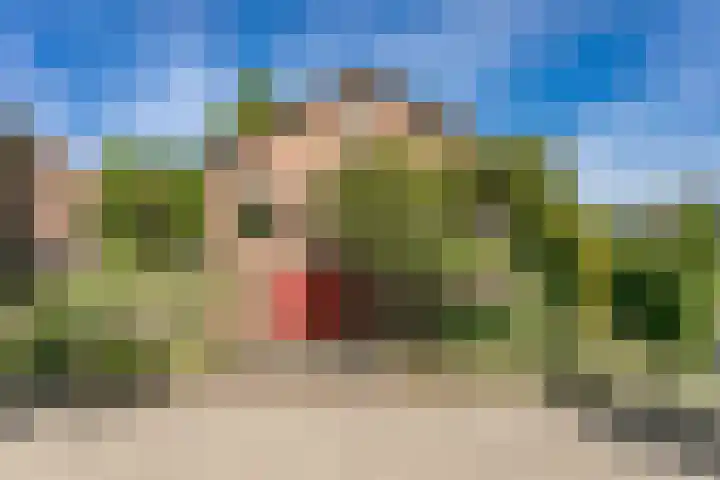 Hazelaar 9 Brunssum thumbnail 38