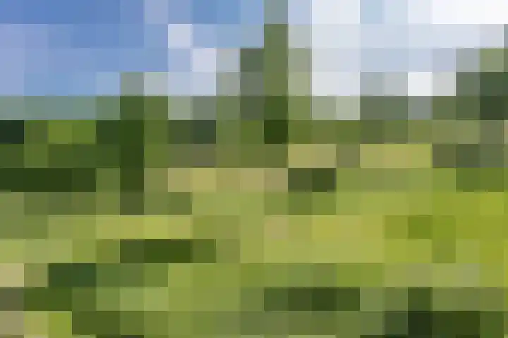 Hazelaar 9 Brunssum thumbnail 40