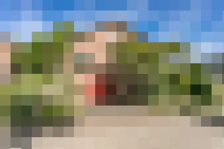 Hazelaar 9 Brunssum thumbnail 45