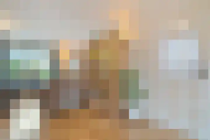 Hazelaar 9 Olst thumbnail 10