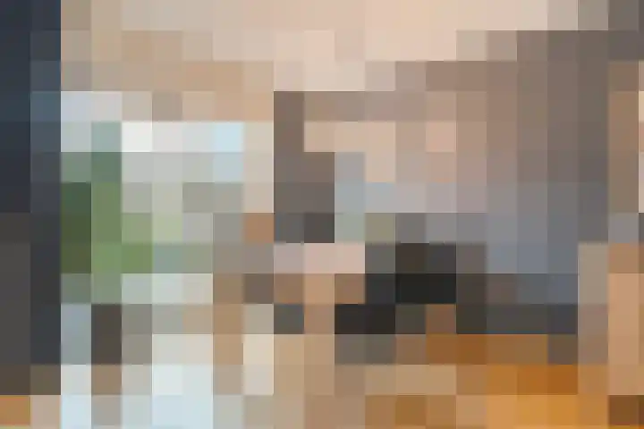 Hazelaar 9 Olst thumbnail 11