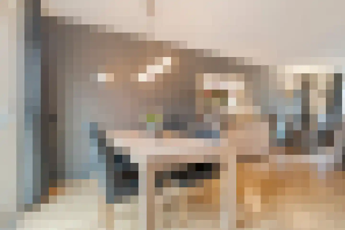 Hazelaar 9 Olst thumbnail 12