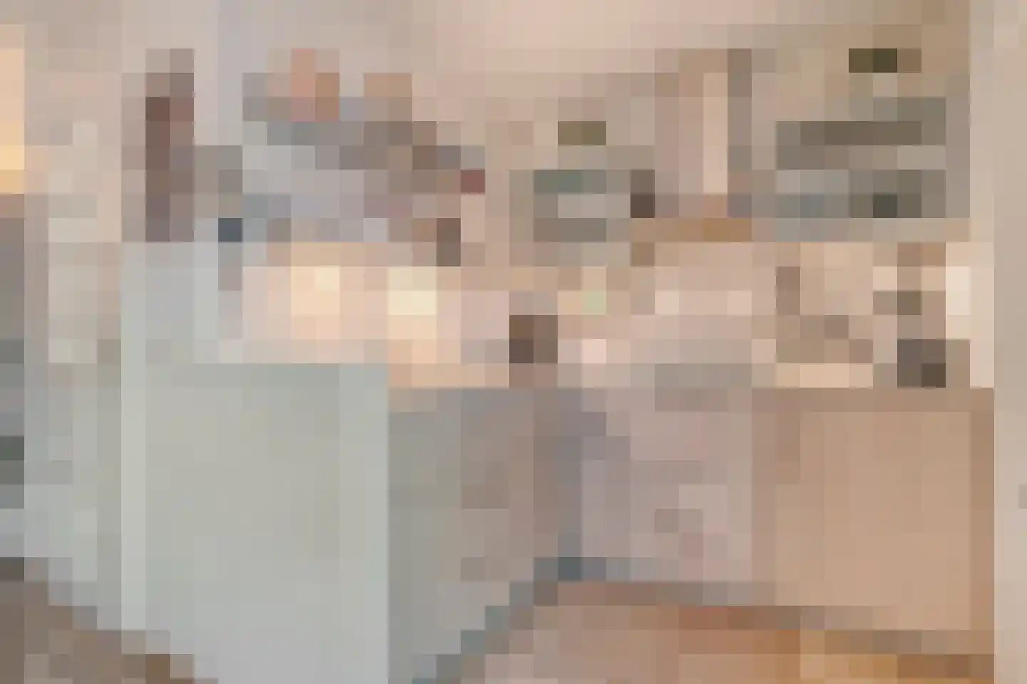 Hazelaar 9 Olst thumbnail 13