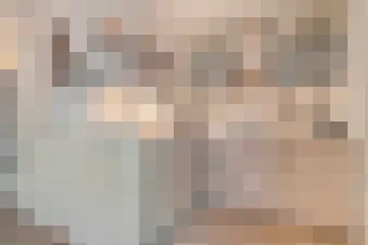 Hazelaar 9 Olst thumbnail 13