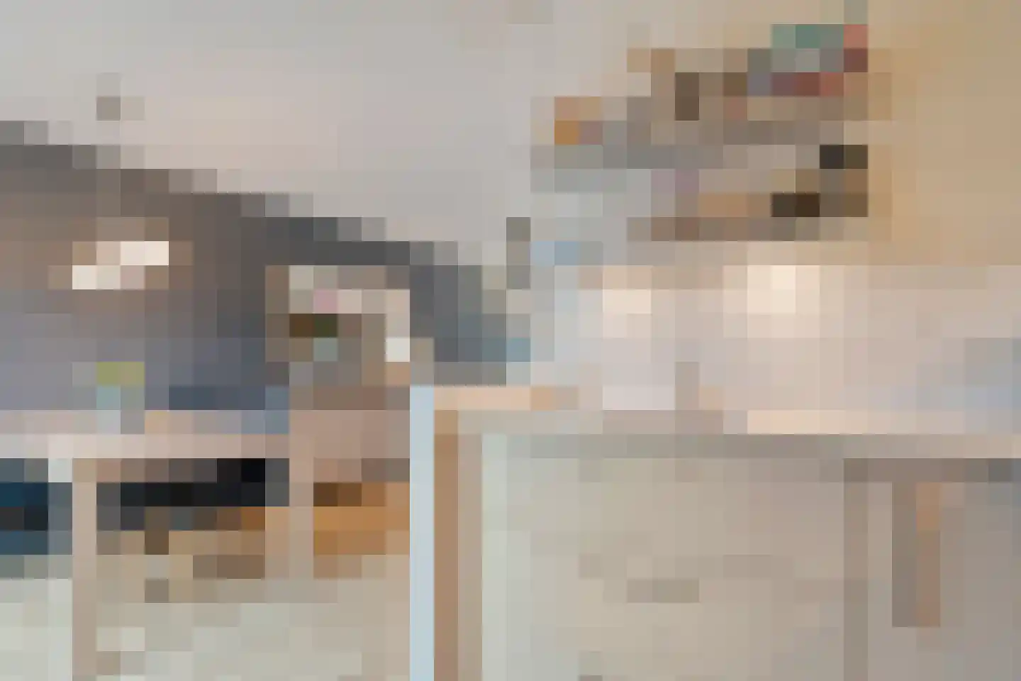 Hazelaar 9 Olst thumbnail 14