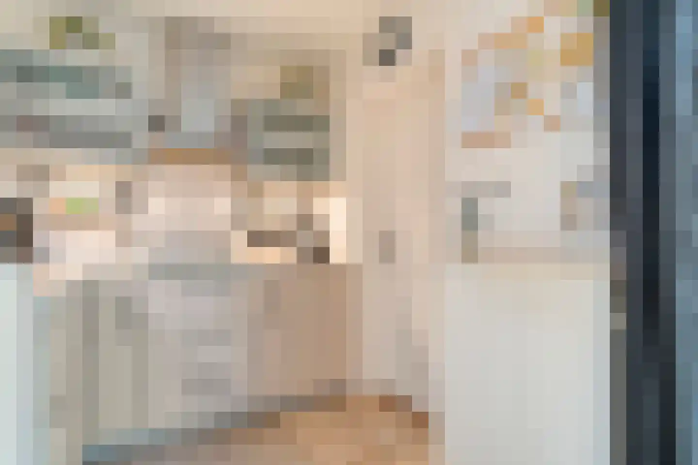 Hazelaar 9 Olst thumbnail 15