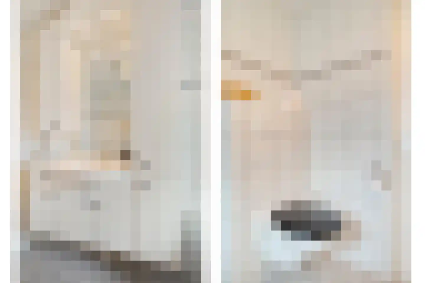 Hazelaar 9 Olst thumbnail 23