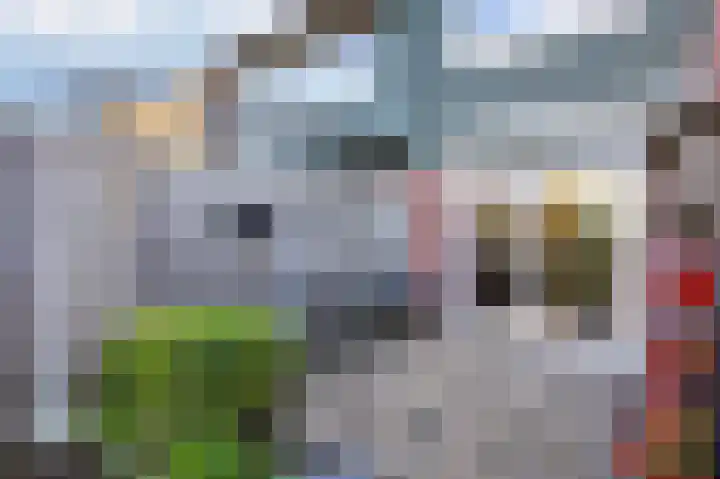 Hazelaar 9 Olst thumbnail 29