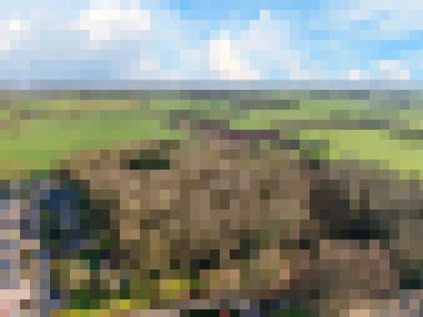 Hazelaar 9 Olst thumbnail 34