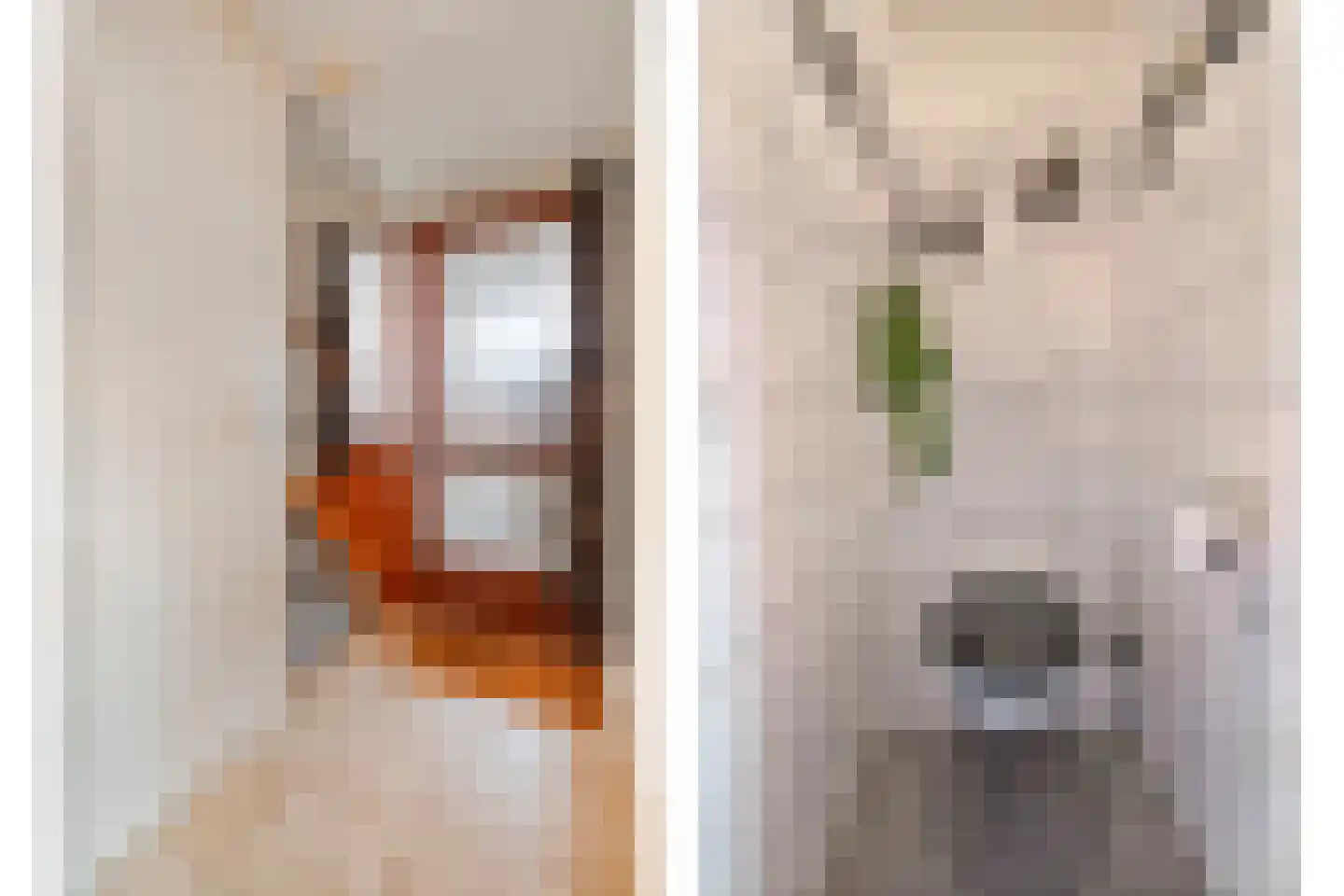 Hazelaar 9 Olst thumbnail 6