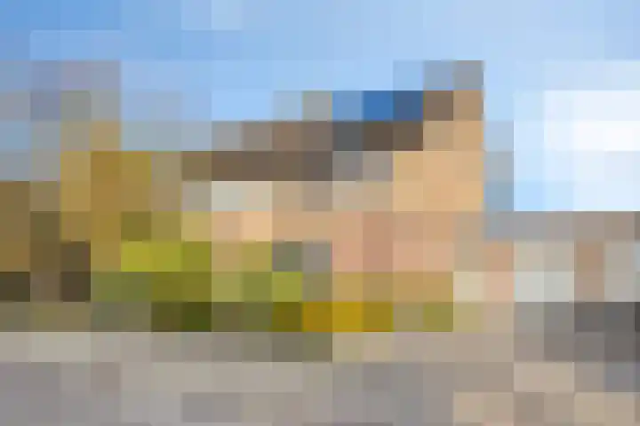Hazelaar 99 dans Geldrop