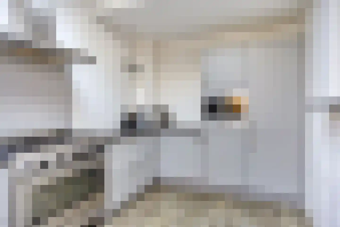Hazelaar 99 Geldrop thumbnail 12