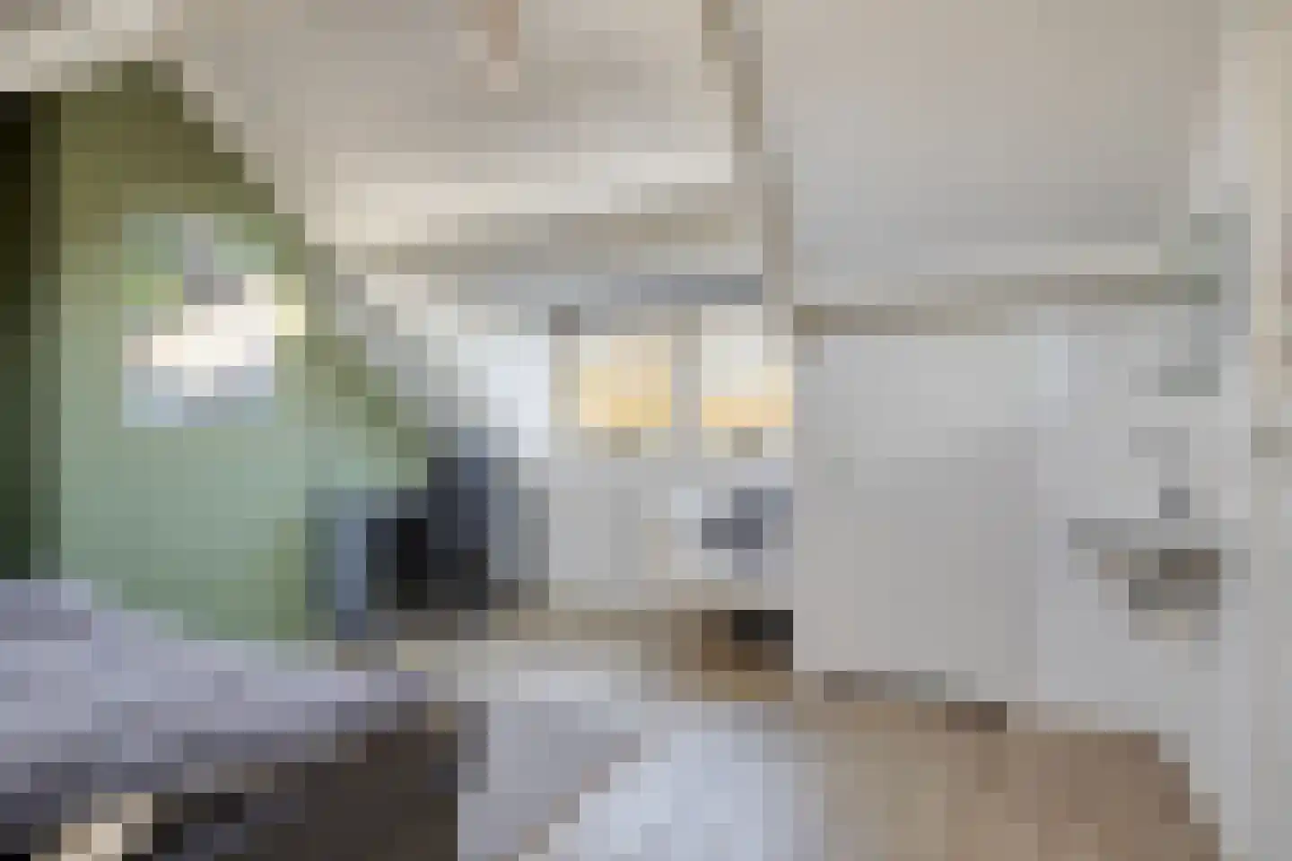 Hazelaar 99 Geldrop thumbnail 25