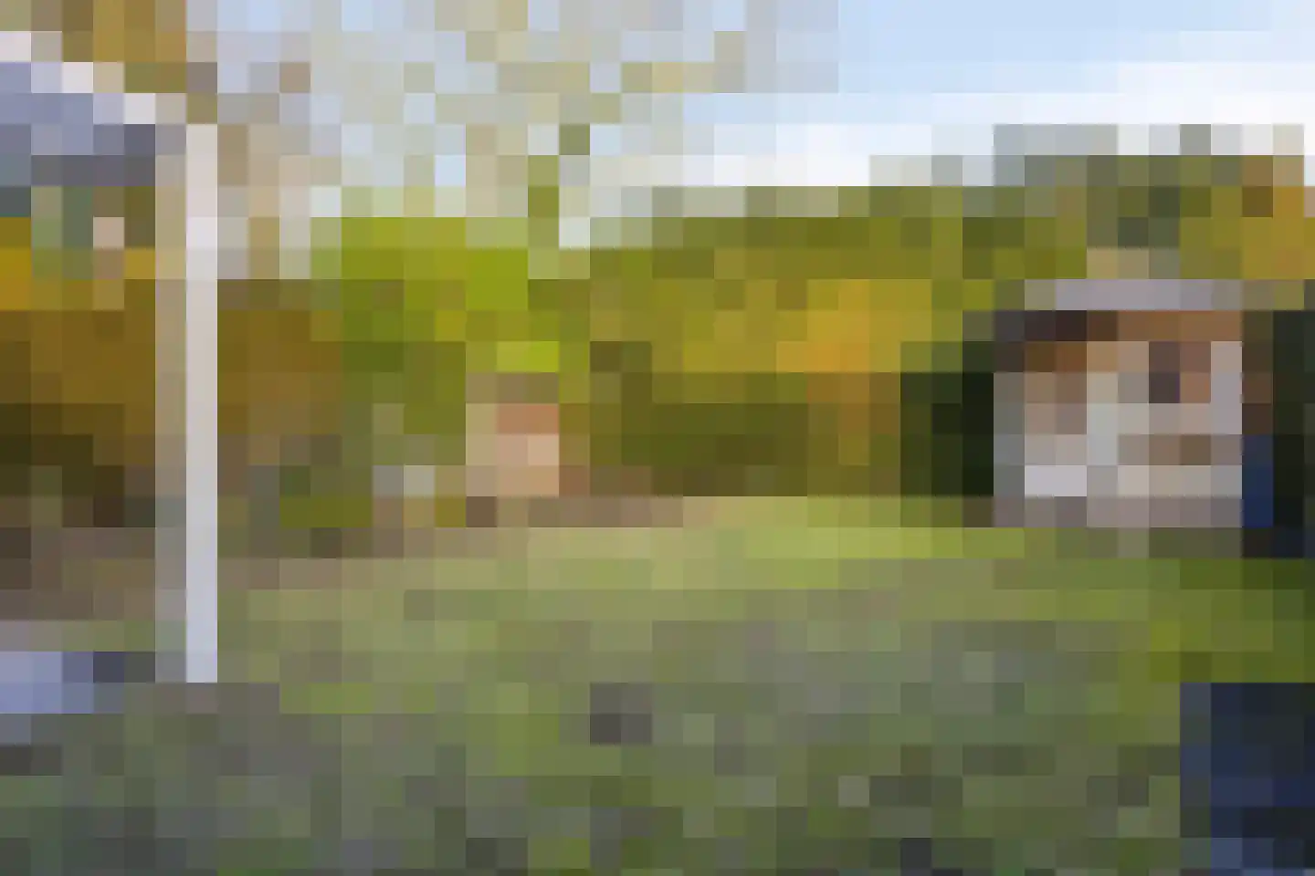 Hazelaar 99 Geldrop thumbnail 29
