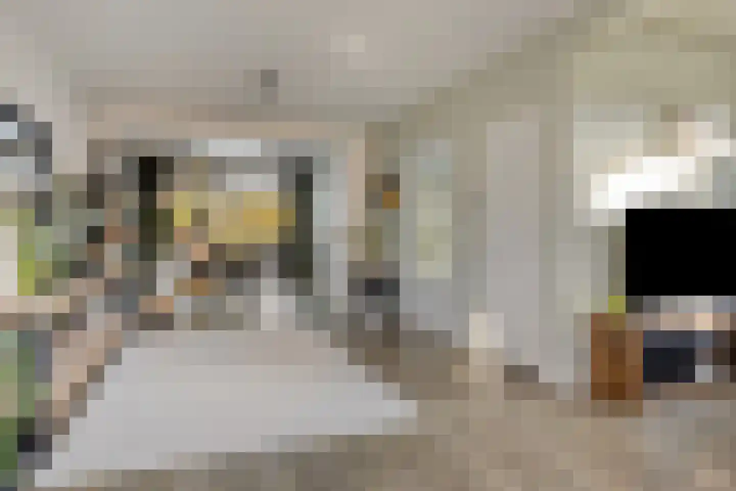 Hazelaar 99 Geldrop thumbnail 4