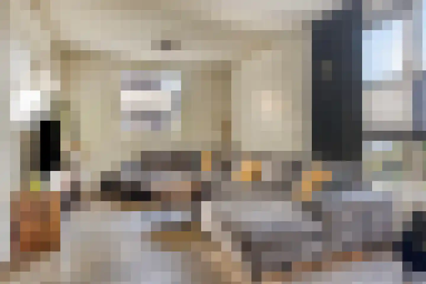 Hazelaar 99 Geldrop thumbnail 6