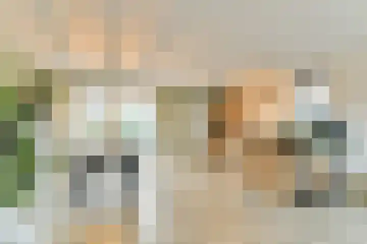 Hazelaardreef 27 Vlaardingen thumbnail 10