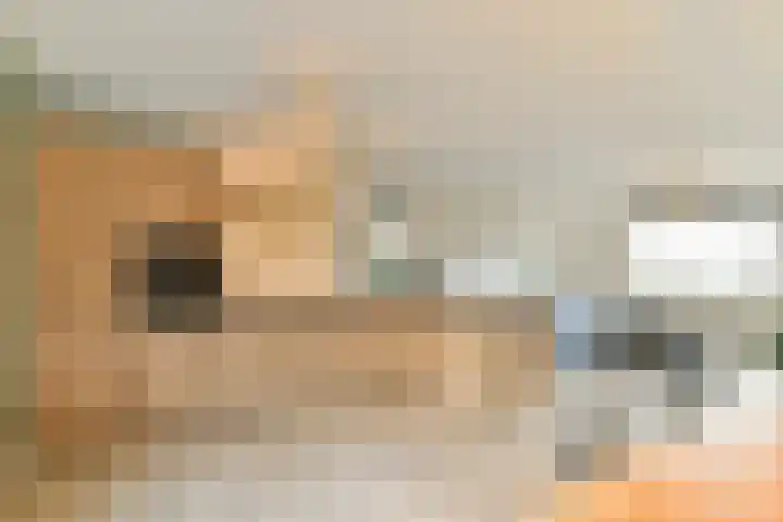 Hazelaardreef 27 Vlaardingen thumbnail 12