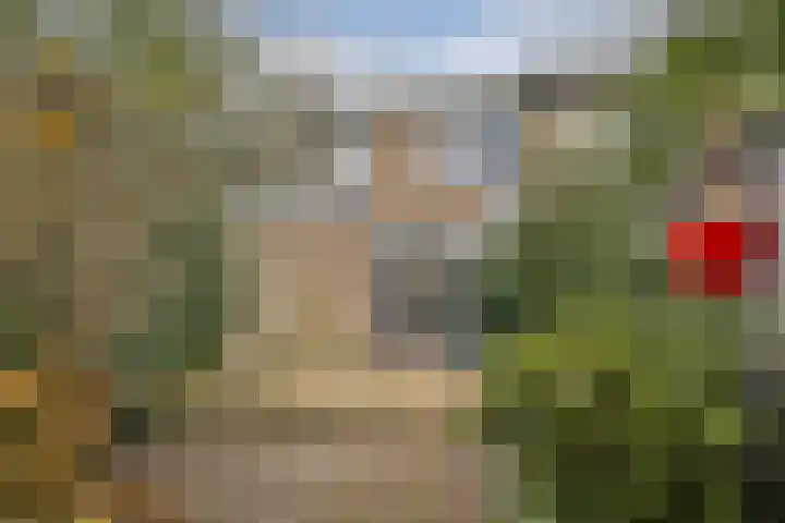 Hazelaardreef 27 Vlaardingen thumbnail 18