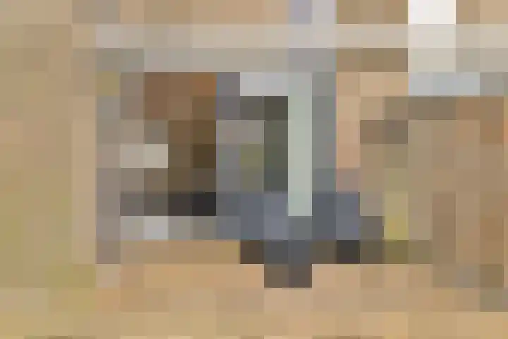 Hazelaardreef 27 Vlaardingen thumbnail 19