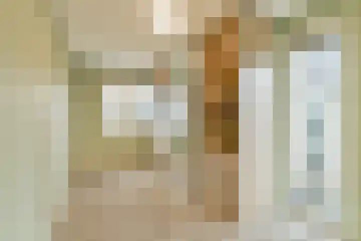 Hazelaardreef 27 Vlaardingen thumbnail 31