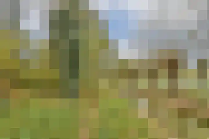 Hazelaardreef 27 Vlaardingen thumbnail 37