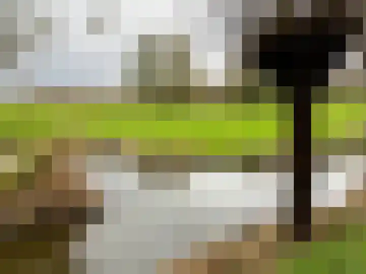 Hazelaardreef 27 Vlaardingen thumbnail 38