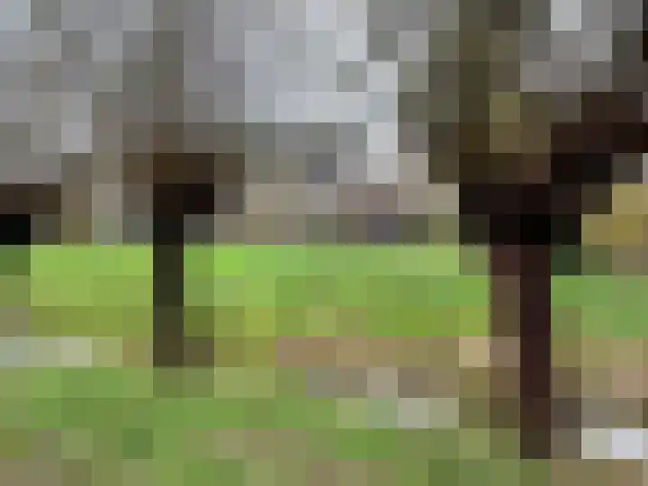 Hazelaardreef 27 Vlaardingen thumbnail 39