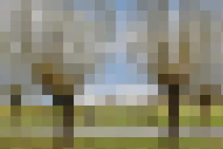 Hazelaardreef 27 Vlaardingen thumbnail 4
